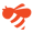 BradyPLUS bee icon in orange