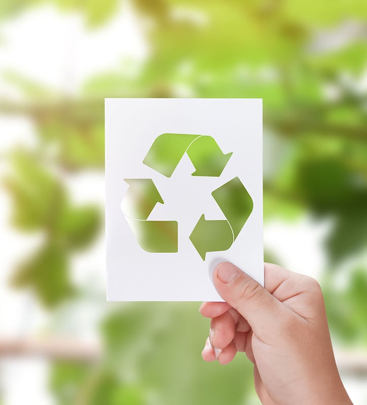 Sustainability - a person holding recycle symbol cut out with green leaves background