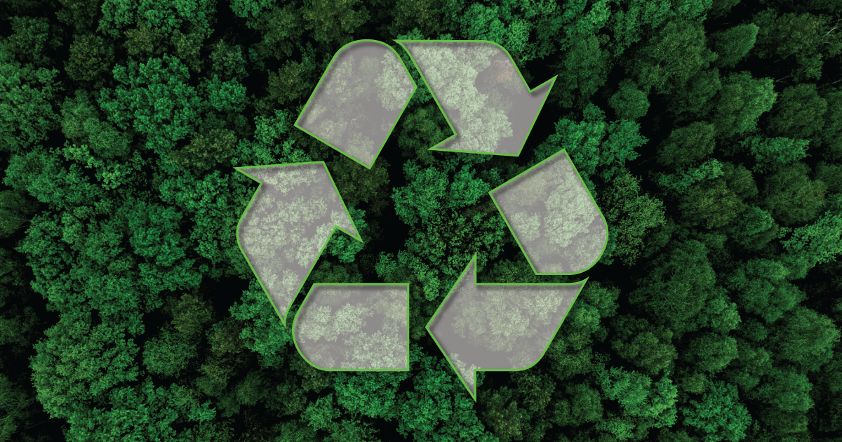 Building a Packaging EPR Task Force for Regulatory Compliance