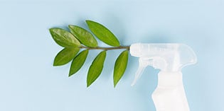 eco-friendly chemical cleaning spray bottle with green leaves coming out