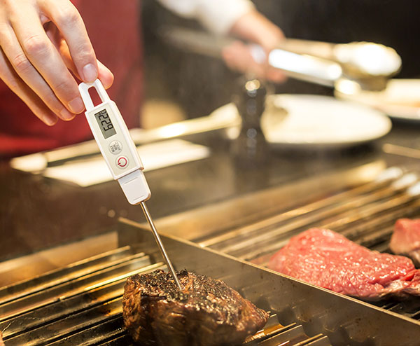 a person checking meat temperature using meat thermometer