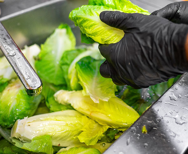washing lettuce - food safety training