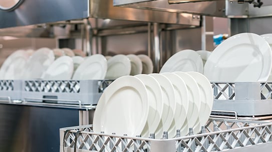 dishwasher in the commercial kitchen