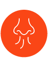odor icon