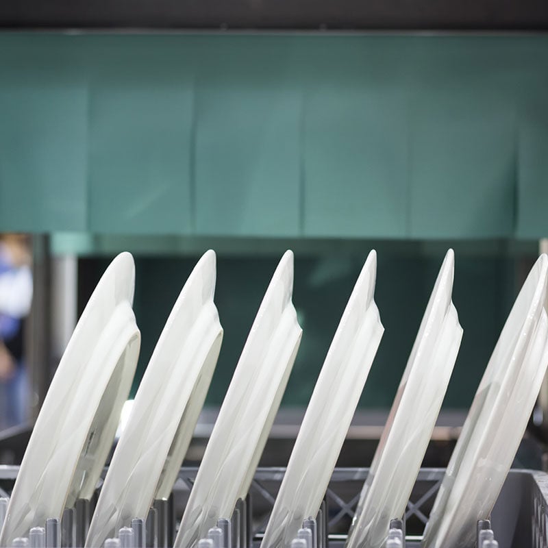 warewasher with plates in them